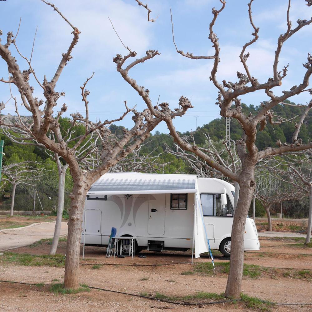 Camping Azahar Hotel Benicassim Exterior photo